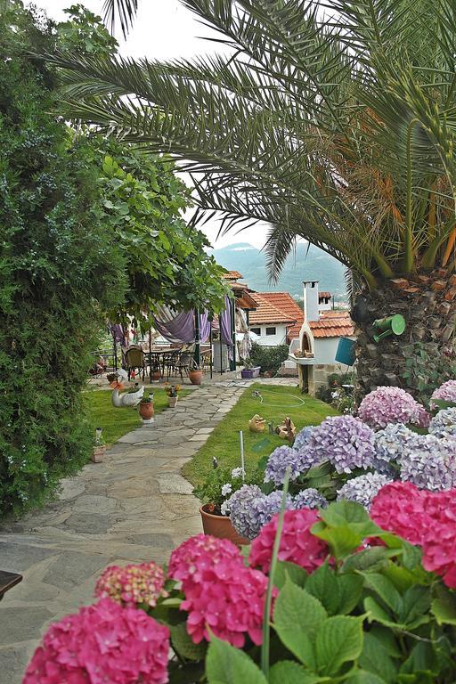 Studios Ifigenia Skala Potamia  Luaran gambar