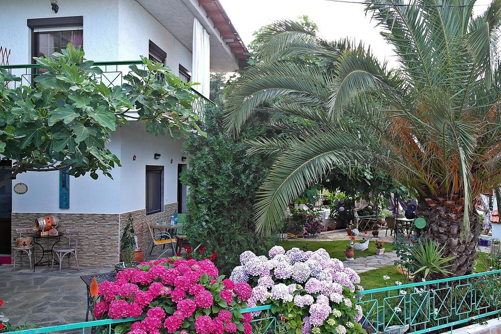 Studios Ifigenia Skala Potamia  Luaran gambar