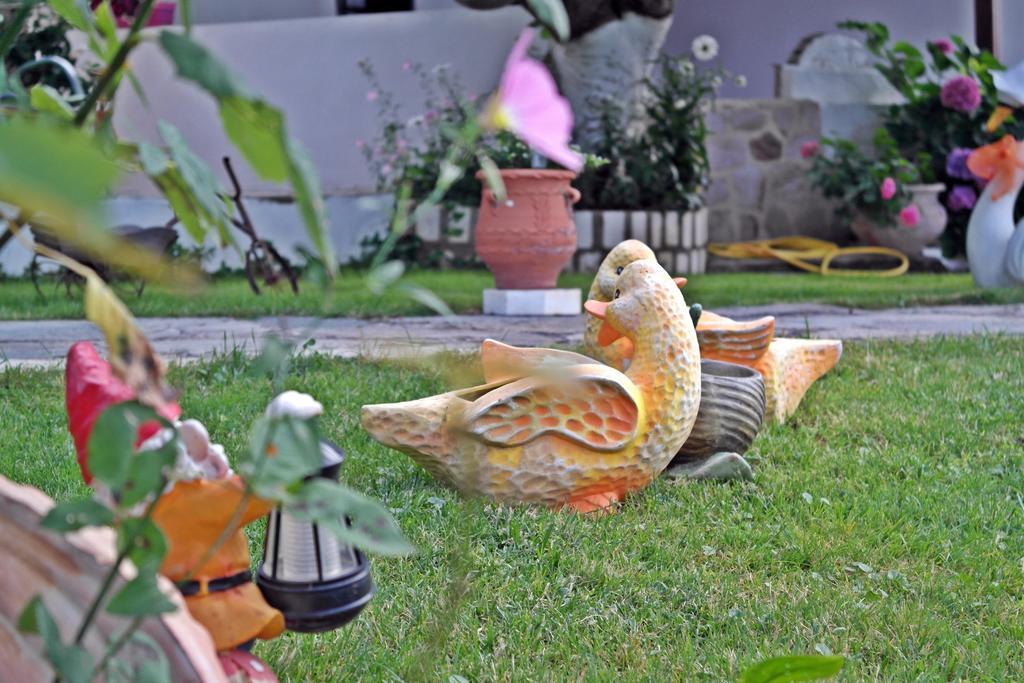 Studios Ifigenia Skala Potamia  Luaran gambar