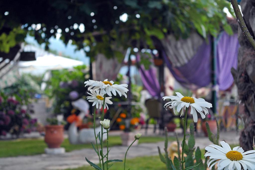 Studios Ifigenia Skala Potamia  Luaran gambar